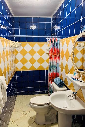 Garden View Studio with colourful bathroom