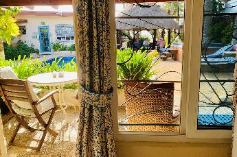 Garden View Studio with pool and palapa view