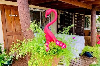 Garden Studio with ocean view terrace 