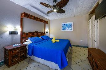 Large Garden Studio 2 with king size bed