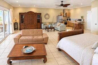 Large Ocean View Studio 
