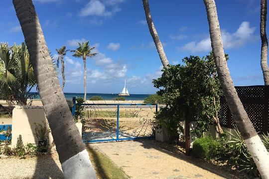 Large Garden 2 with ocean view