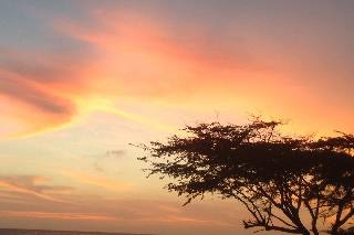 Amazing colours